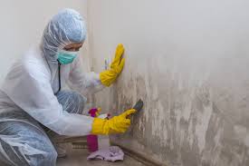 Best Emergency Mold Remediation  in Brooksi, DE